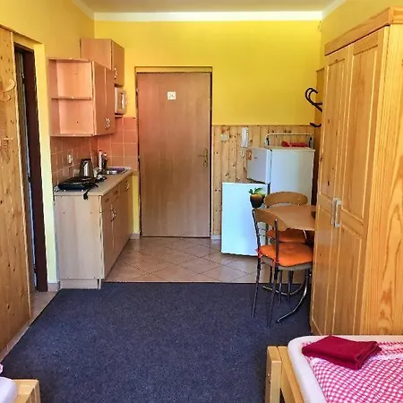 U Svycarskeho Dvora ホームステイ *