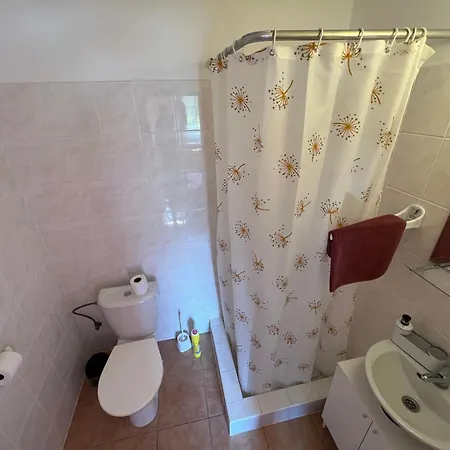 U švýcarského Dvora * Janské Lázně