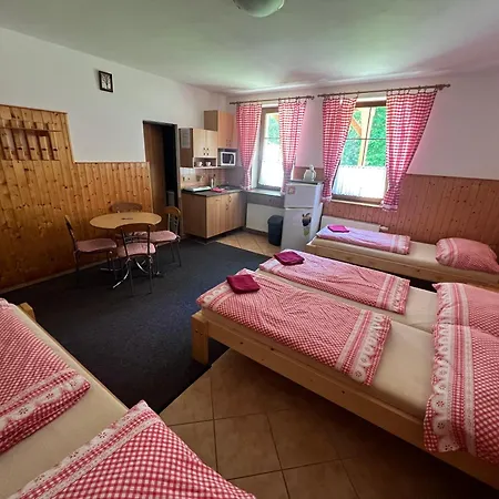 U Svycarskeho Dvora ホームステイ